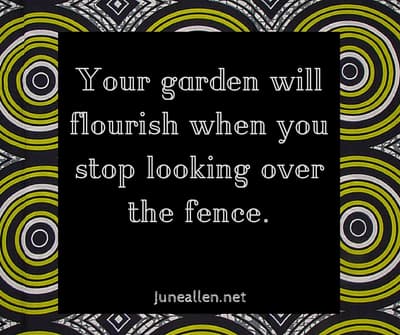 fence